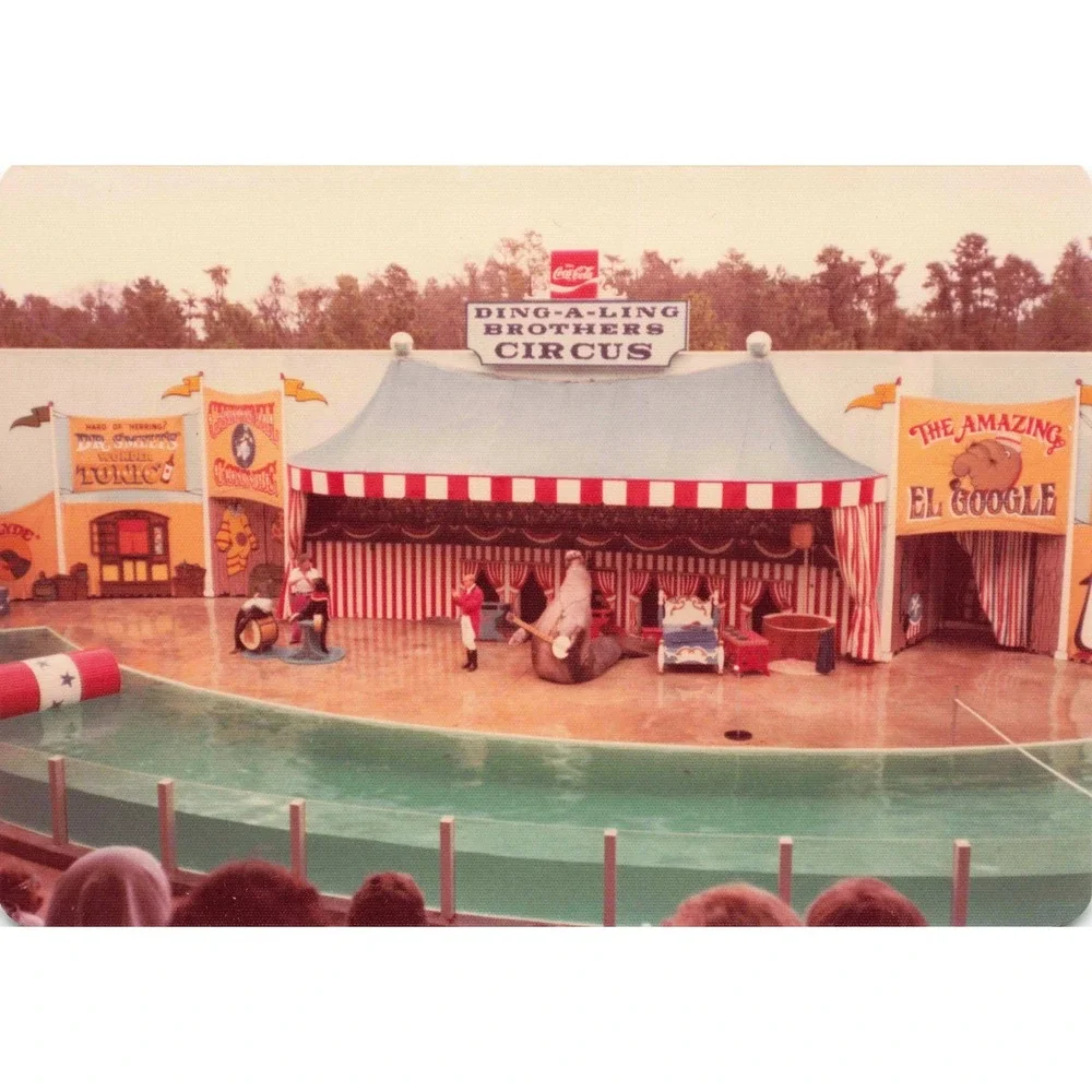 Vintage 1970s Ding-A-Ling Brothers Circus Sideshow Seal Act Photos Lot of 4 - Picture 3 of 4